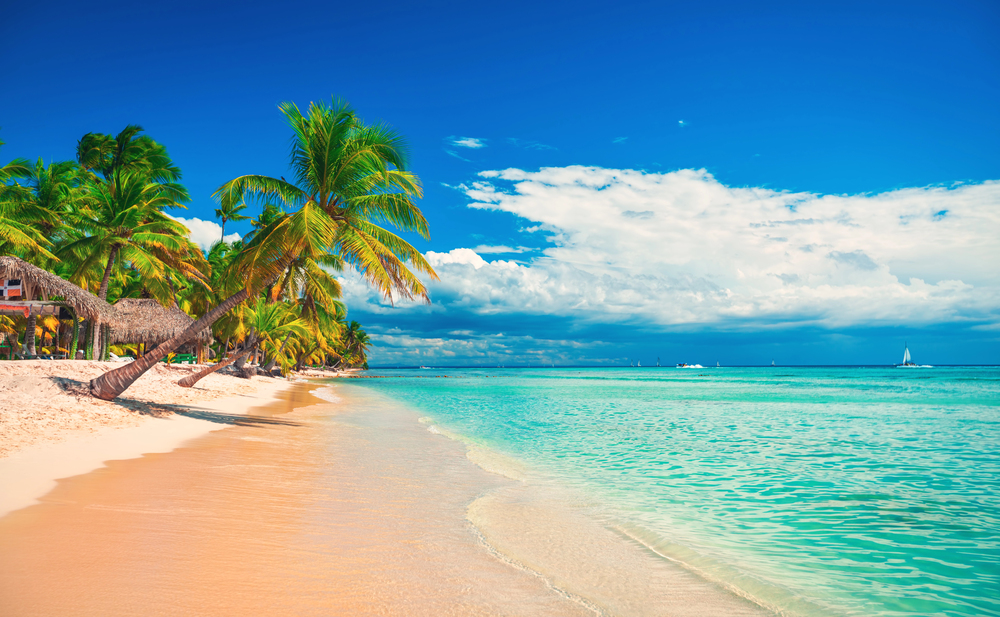 Saona